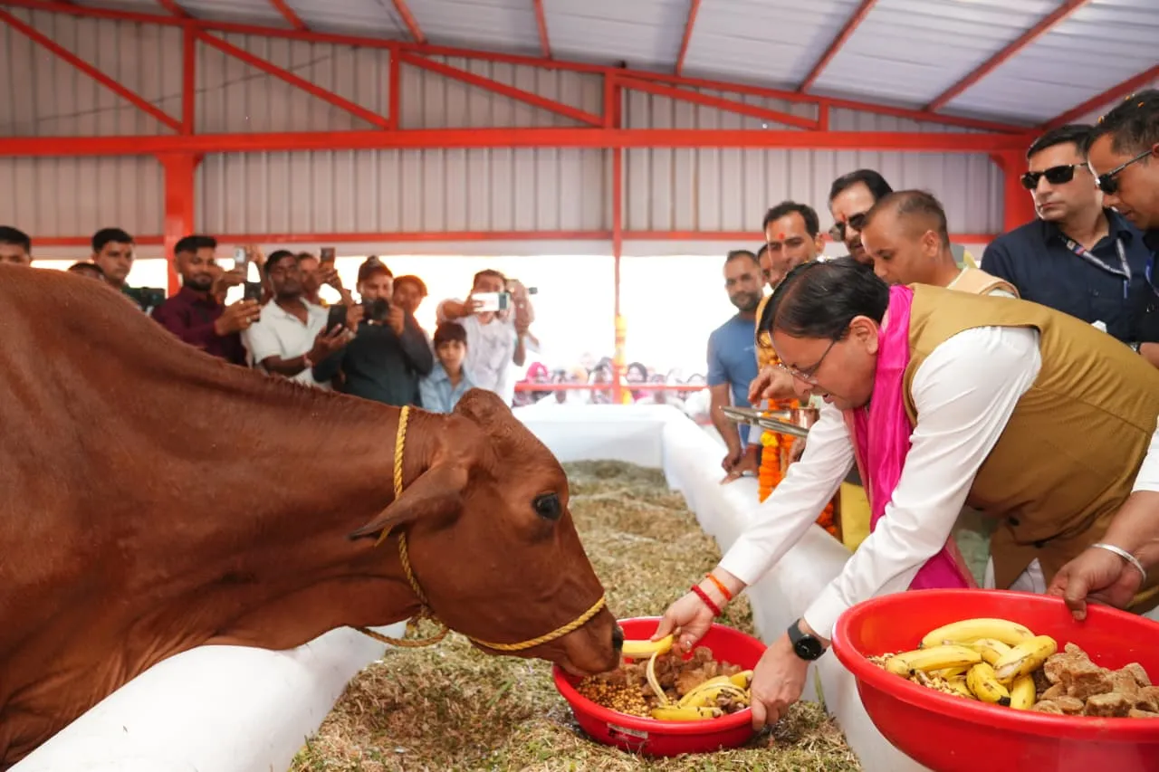 प्रदेश में 16 हजार से अधिक निराश्रित गोवंश को गौ सदनों के माध्यम से दिया जा रहा सुरक्षित आश्रय – मुख्यमंत्री