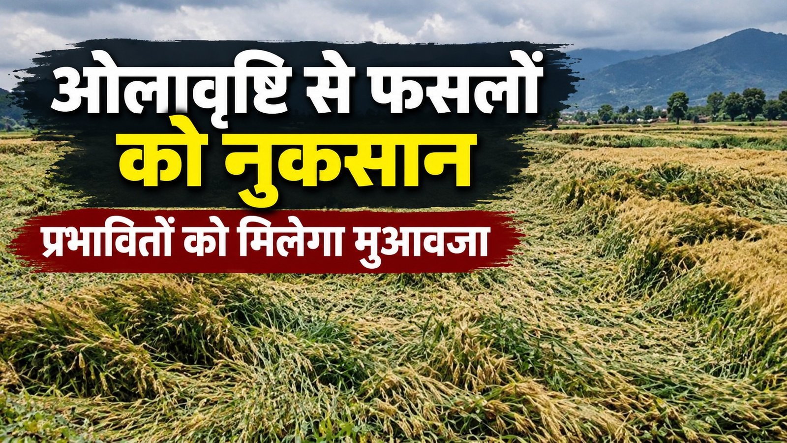 ओलावृष्टि से फसलों और संपत्तियों को हुए नुकसान का होगा आकलन, प्रभावितों को मिलेगा मुआवजा
