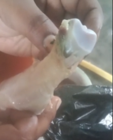 ताज़ा मांस में रेंगते मिले जिंदा कीड़े, सोशल मीडिया पर वायरल वीडियो से दहशत